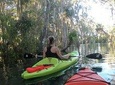 4 Hour Single Kayak Rental In Crystal River, Florida
