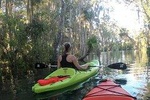 4 Hour Single Kayak Rental In Crystal River, Florida