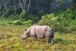 1 Night Glimpse of Chitwan Tour from Kathmandu or Pokhara - Vice Versa