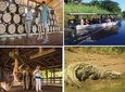 Palo verde river cruise, sugarcane liquor and cultural combo tour.
