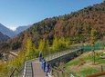 a better Panda Volunteer Experience at the Best panda base - WOLONG
