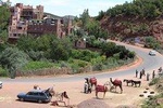 Marrakech day trip to Ourika Valley & Atlas Mountains