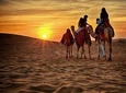 Quad Bike Self-drive & Camel Trekking Experience In Red Dunes Desert 