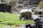 Marrakech Day Trip To Atlas Mountains with Camel Ride In Desert & Waterfall
