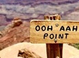 Grand Canyon Hike & Sightseeing Tour