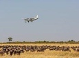8 Days Ultimate Kenya Flying Safari Holiday