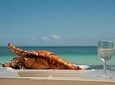 Saona Island Day Trip + Lobsters & Wine Included