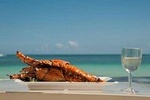 Saona Island Day Trip + Lobsters & Wine Included