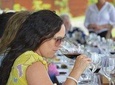 Private Wine Tours by Wine Explorers Uruguay