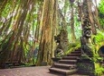 Ubud Holy Spring Temple Blissful Cleansing