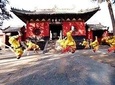 Private 3-Day Tour Featuring Shaolin Temple and other Must-See Spots in Henan