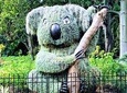Discover Sydney - Botanic
