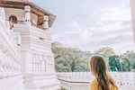 Private Day Tour to Explore Kandy from Colombo Harbor