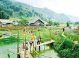 Sapa 2 Days 1 Night By Bus/Train (Overnight In Homestay)