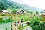 Sapa 2 Days 1 Night By Bus/Train (Overnight In Homestay)