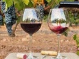 Private Full Day Tour to Flavors of the Alentejo Land, from Lisbon