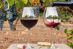 Private Full Day Tour to Flavors of the Alentejo Land, from Lisbon