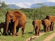 4 Days Affordable Family Safari Holidays