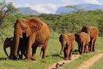 4 Days Affordable Family Safari Holidays