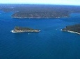 Ku-ring-gai Chase Wilderness & Native Wildlife Private Tour (All inclusive)