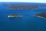 Ku-ring-gai Chase Wilderness & Native Wildlife Private Tour (All inclusive)