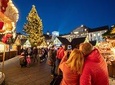 Magic Christmas Tour in Fuerteventura