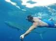 Oslob Whale Shark Watching