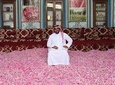 Discover Taif City