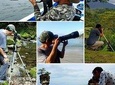 Jaco Birdwatching and Photography with Sergio