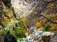 VALLEY & GARDEN 