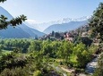 1 Day Ourika valley Excursion - Private