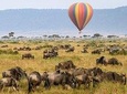 13 Days Kenya Tanzania Wildlife Safari