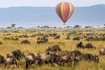 13 Days Kenya Tanzania Wildlife Safari