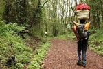 6 Days Mount Kilimanjaro Shira Route