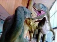 Dinosaur Route and Paleontology Museum - Return to the Cretaceous