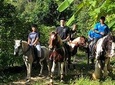 Horseback Riding 1 hour trail
