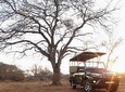 Full Day Kruger National Park 
