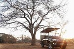 Full Day Kruger National Park 