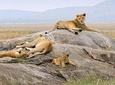 9 Days Kenya Family Safari Holiday Packages
