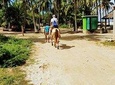 Acapulco Beach Horseback Riding - MEXICAN CHICKEN SNACKS & Baby Turtle Release