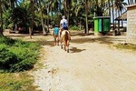 Acapulco Beach Horseback Riding - MEXICAN CHICKEN SNACKS & Baby Turtle Release