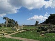 Temple of Artemis-Brauron Tour 4 seat 5.5 hours