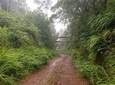 Madeira Off-Road Tours