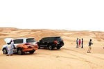 Al Ain Desert Safari with Buffet Dinner