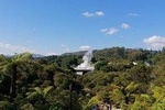 4-Day Auckland to Wellington via Rotorua Tour