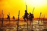 7 Night in Sri Lanka Heritage Private Tour