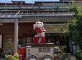 Takayama oldtownship walking tour with local guide. (About 70min)