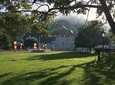 Cruise Ship Shore Excursions - Colombo Port - Kandy City Tour(UNESCO & heritage)