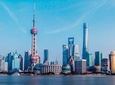 Private Layover Tour: Shanghai Zoo with Panda, Oriental Pearl Tower & the Bund.