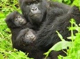 2 Days Gorilla Trekking with Culture Experience and Twin Lakes Visit
